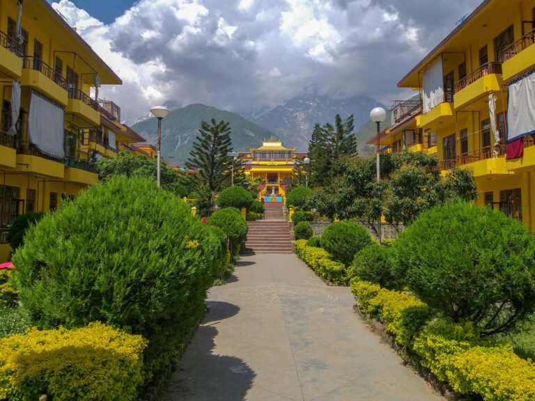Home Vibrant Buddhist monastery amidst lush greenery in Dharamshala, Himachal Pradesh, with mountain backdrop.