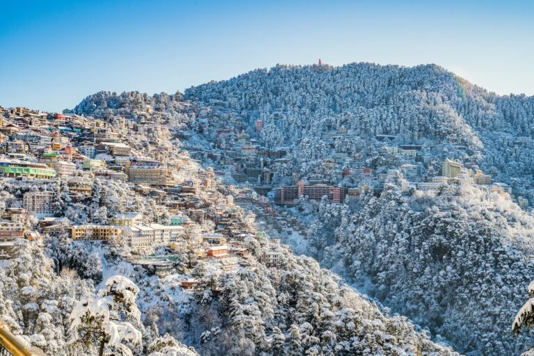 Home A scenic view of Shimla in winter, with snow-covered buildings and forests under a clear blue sky.